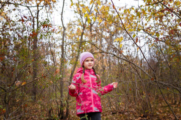 Little girl in pink jacket and knit cap touching red autumn leaves on the bush in forest