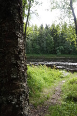 A beautiful Summer day and a river