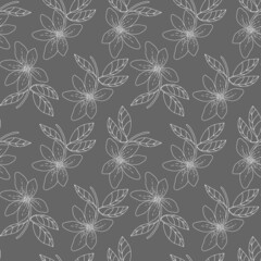 Botanical seamless pattern. Magnolia flowers on branches with leaves. Hand drawn line art print . Vector