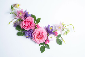 Festive floral background. floral layout from pink and violet flowers of aquilegia on a white...