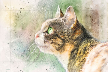 Digitally enriched photograph of a green eyed calico cat looking out a window. This photosketch technique creates a faux watercolour effect giving the image an overall artistic impression. - obrazy, fototapety, plakaty