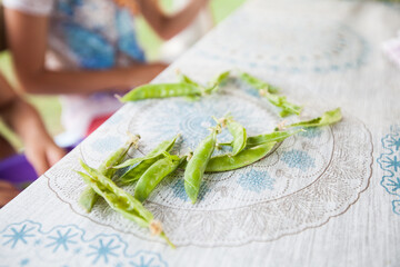 Closeup view of raw organic pea in pod.