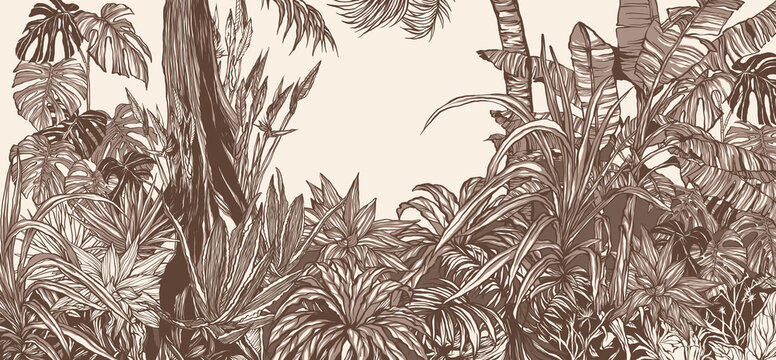 
vintage tropics contour painted plants painted tropics photo wallpaper