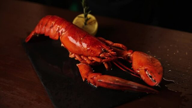 cooked lobster with red sauce in a restaurant on a black background.