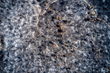 Aerial view of burnt trees