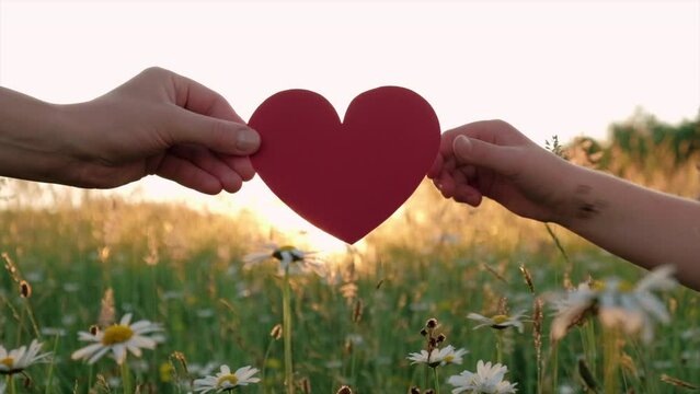 Concept of symbol love, parenthood and happy family. Close up of mother and child daughter hands holding small red paper heart near flowers on background beautiful sunset or sunrise at warm summer day