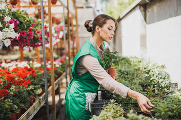 Woman Entrepreneur Caring About Plants In A Greenhouse