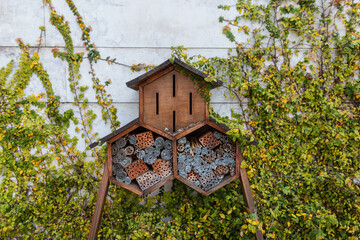 Beautiful wooden insect house in the garden near a wall with a green plant. Ecology and plant life concept. Lisbon, Portugal