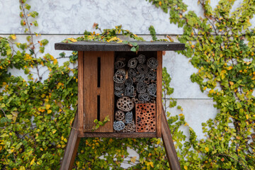 Fototapeta na wymiar Hotel for insects. Protecting the environment. Save the bee