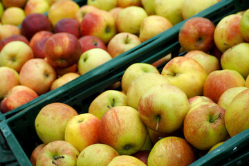 there are a lot of yellow apples in green plastic boxes. supermarket. side view