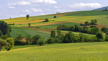 Obraz premium Green Hills Landscape