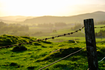 Rolling Scottish Landscape With Fence In Foreground