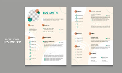 Abstract Resume Layout with Two Color Accent for Applications