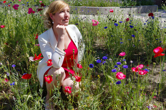 Mohnblumenbeet 이미지 – 찾아보기 5 스톡 사진, 벡터 및 비디오 | Adobe Stock