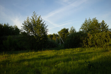 Obraz premium landscape with trees