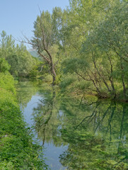 Fototapeta na wymiar Source of the river Cetina near Sinj in Croatia