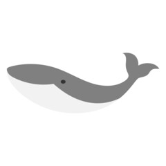whale icon design template vector illustration