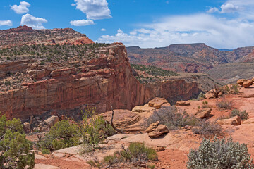 Arid Panorama from a Desert Viewpoint