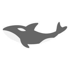 Orca killer whale icon design template vector illustration