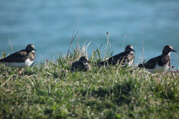 Cantabria Iinfinita.