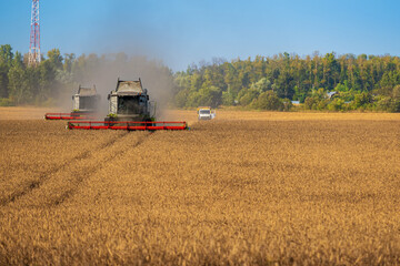Obraz premium Highest grade flour is harvested by combine harvesters in field of golden wheat on sunny summer day. Wheat harvesting.