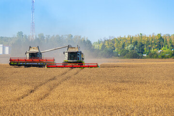 Fototapeta na wymiar Combine harvester harvests ripe wheat on sunny summer day. Harvesting of wheat by combine harvesters in agricultural field on summer day.
