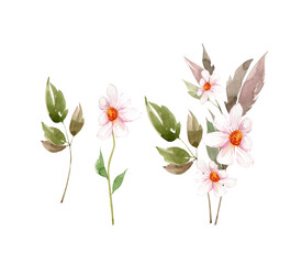 Obraz premium set of watercolor illustrations of white flowers and bouquets. hand painted for design and invitations.