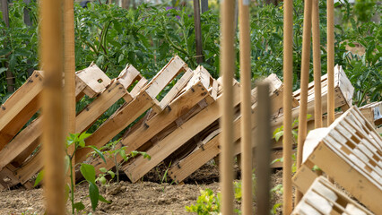Wooden crates stacked diagonally, in the vegetable garden, close-up