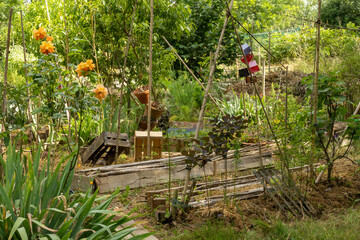 Vegetable orchard, adorned with an orange rosebush, bamboo stakes, beautifully arranged earthen...