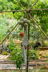 Garland balls and macrame, decoration in the vegetable garden, early spring