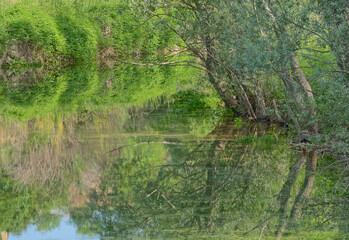 Source of the river Cetina near Sinj in Croatia