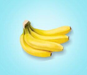 Tasty sweet fresh banana branch