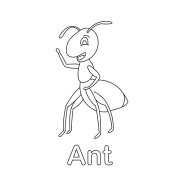 ant coloring page line art animal vector