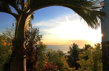 Arch of palm tree overlooking the ocean, Catmon, Cebu, Philippines
