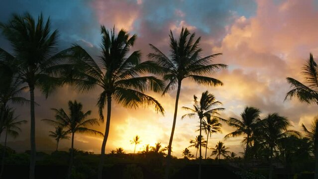 Cinematic dolly shot of colorful clouds in pink, golden purple colors highlighted by sunset or sunrise sunlight on tropical Hawaii island. Scenic dark silhouettes of palm trees against epic sunrise 4K