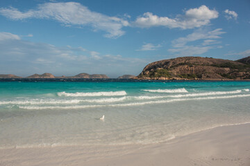 Amazing blue crystal water and white sand beach whit a seagull - Cape le Grand, Esperance WA, Australia