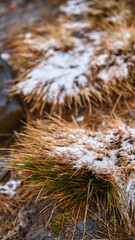 Nieve en las montañas 