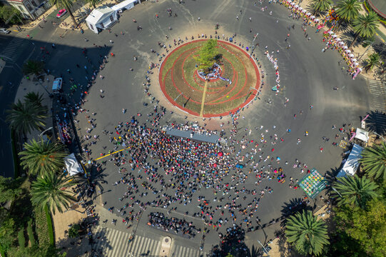 Aerial view of ahuehuete tree Guardian of Missing Persons Persons Mexico City, Mexico. June 5, 2022