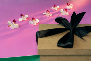 Valentine's day, flower and gift. Pink background.