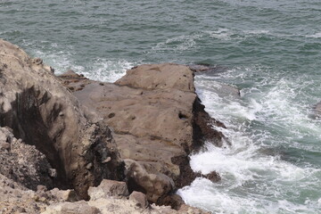 Rocky shore where the waves crash