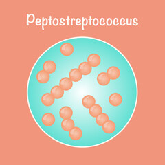 Vector Illustration Graphic of Peptostreptococcus
