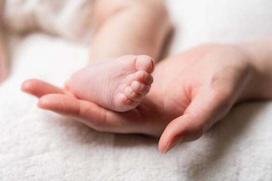 赤ちゃんの足　母さんの手