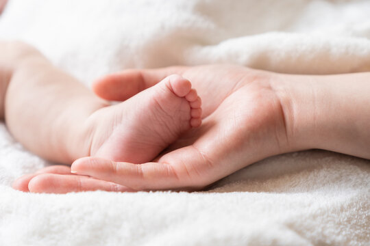 赤ちゃんの足　お母さんの手