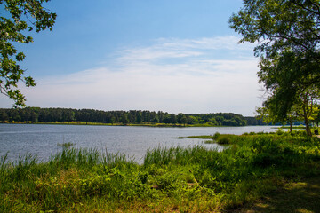 a gorgeous summer landscape at Lake Acworth with vast blue rippling lake water surrounded by lush...