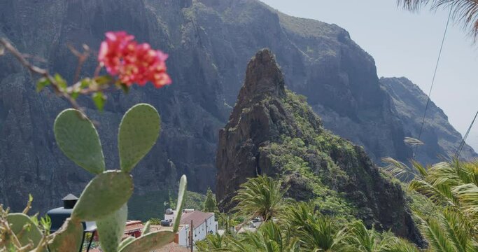 View of the gorge in the village of Maska, Tenerife, Canary Islands, Spain. In the foreground flowers and cacti.