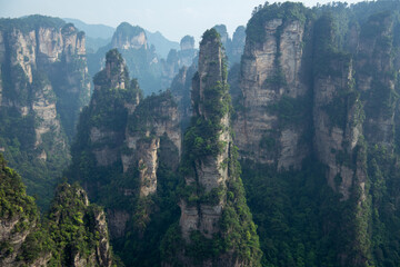 Limestone rocks of the Wulingyuan National forest part, an inspiration for the Avatar movie, in Zhangjiajie, Hunan, China, flying mountains, background image, copy sppace, horizontal