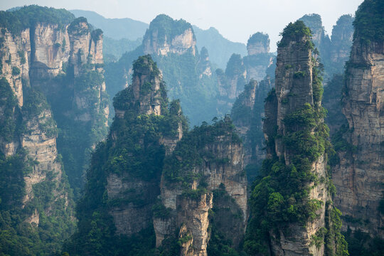 Wulingyuan National forest part, an inspiration for the Avatar movie, in Zhangjiajie, Hunan, China, background horizontal image with copy space for text