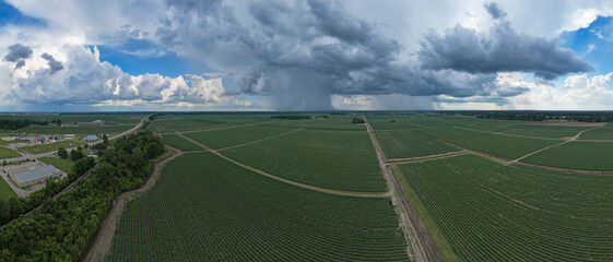 Louisiana sugarcane field and farm land, cloudy weather with patches of rainfall