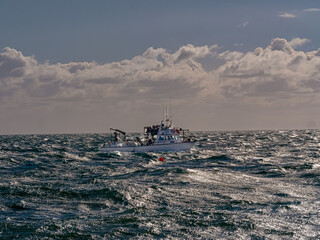 Mussel Boat Into Sun