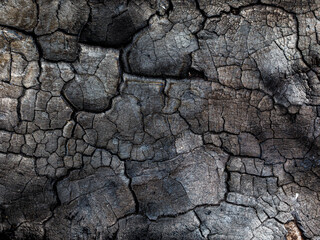 BBQ background. Burnt wooden Board texture. Burned scratched hardwood surface. Smoking wood plank background. Burned wooden grunge texture